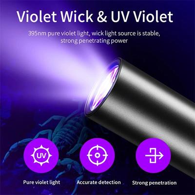 UV Flashlight: Versatile Tool for Security, Detection, and Resin Curing - 翻译中...